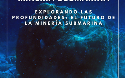 Perspectiva junio 2024 – Minería Submarina