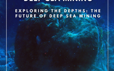Perspective Report – Deep Sea Mining