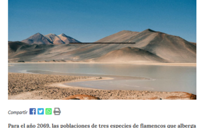 Article published by Reporte Minero y Energético